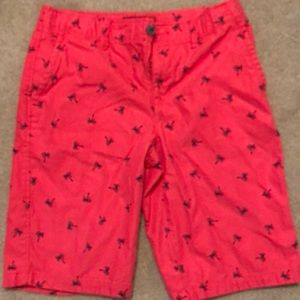 Boys shorts. Pink with palm trees. 16 HUSKY
